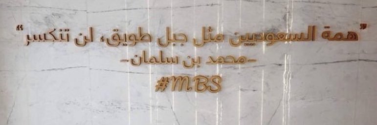 شيخة banner