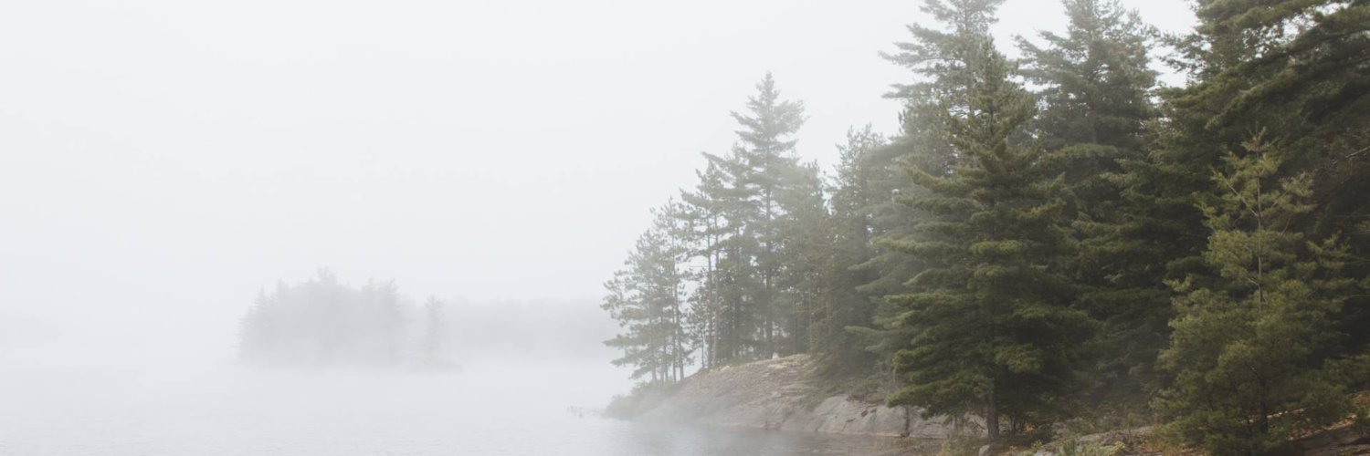 csylviamc's profile banner image
