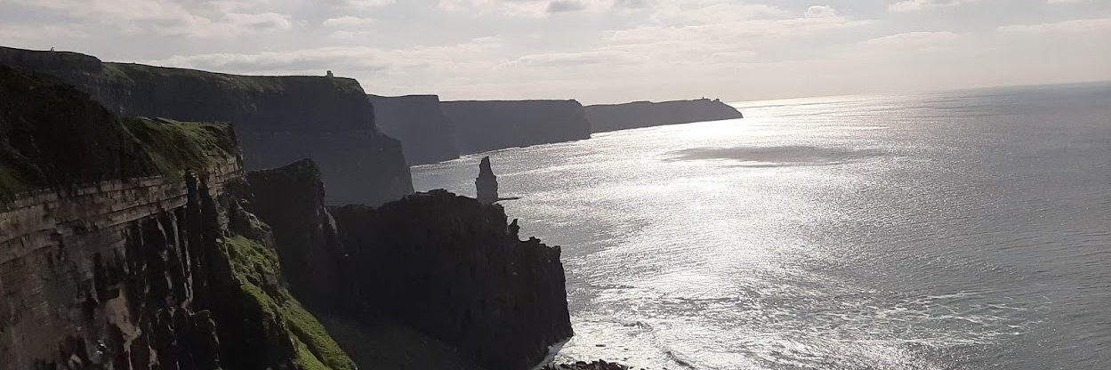 Anthonia O'Donovan banner