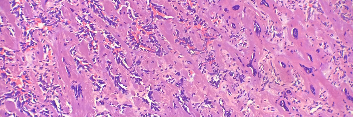 somayeh boshagh banner