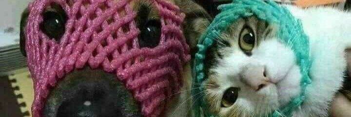 chen_gandamo's profile banner image