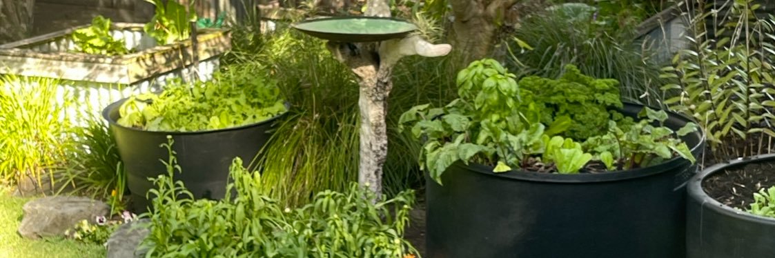 Snarky Jalapeño banner