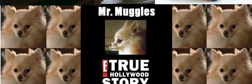 Super_Muggles's profile banner image