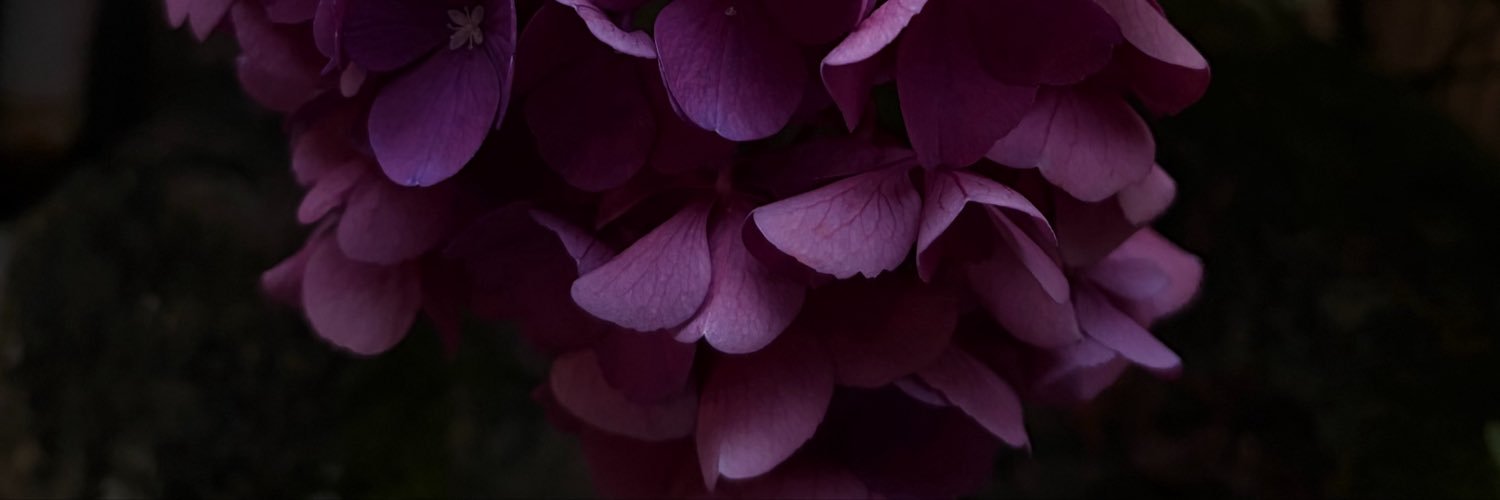 nya_x_4's profile banner image