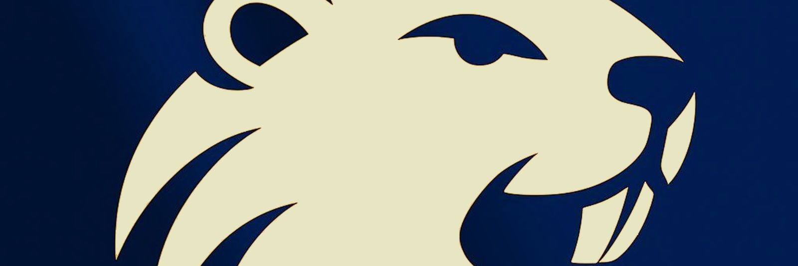 Bad Beavers Ulkuman banner