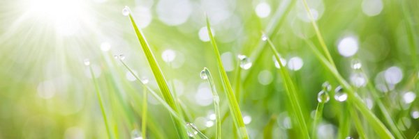 devsfarm Profile Banner