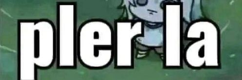 lily.♡ banner