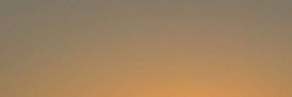 anonymous202452 Profile Banner