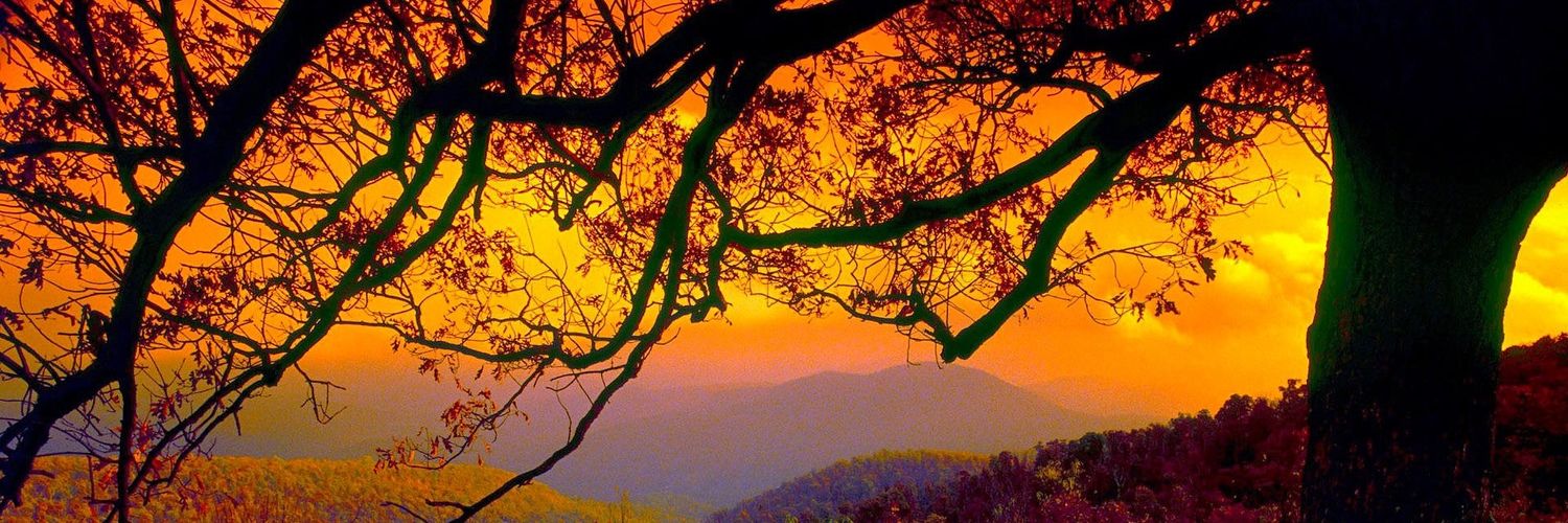 Shubhs77's profile banner image