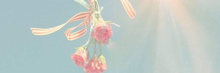Irenne_59's profile banner image