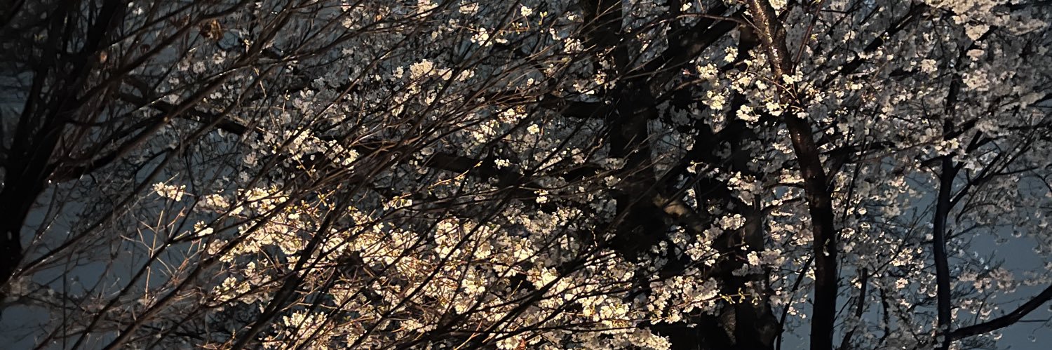 liy banner
