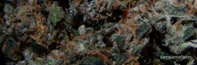 𝕵ᵘˢᵗ 𝕾ᵃʸᵃⁿ banner