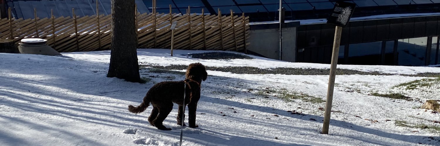 Annette Usken banner