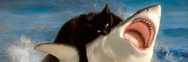 sakda_blackcat Profile Banner