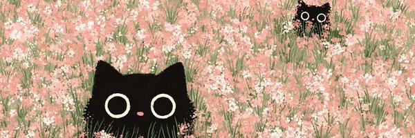 bareumcoded Profile Banner