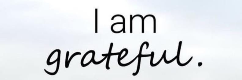 Surehighbee's profile banner image