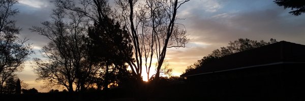 tunnek Profile Banner