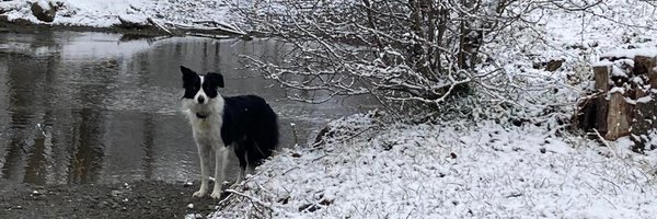 daniurrutia_ Profile Banner