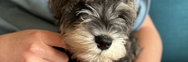 SamKeeley11246 Profile Banner