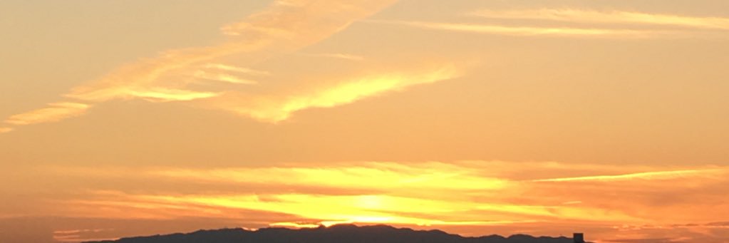 marchigon's profile banner image