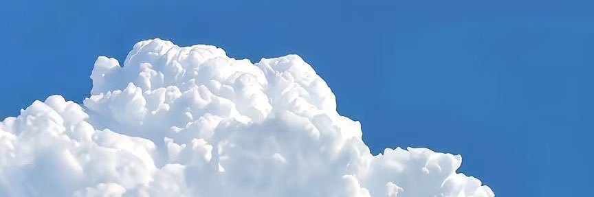Profile banner