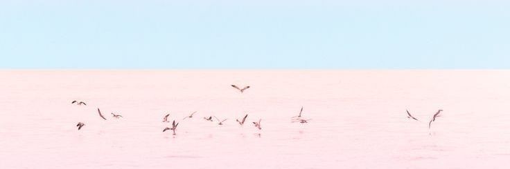 dwiagustine21's profile banner image