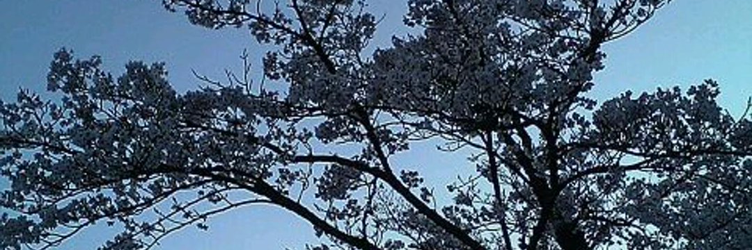 水鏡　律 banner