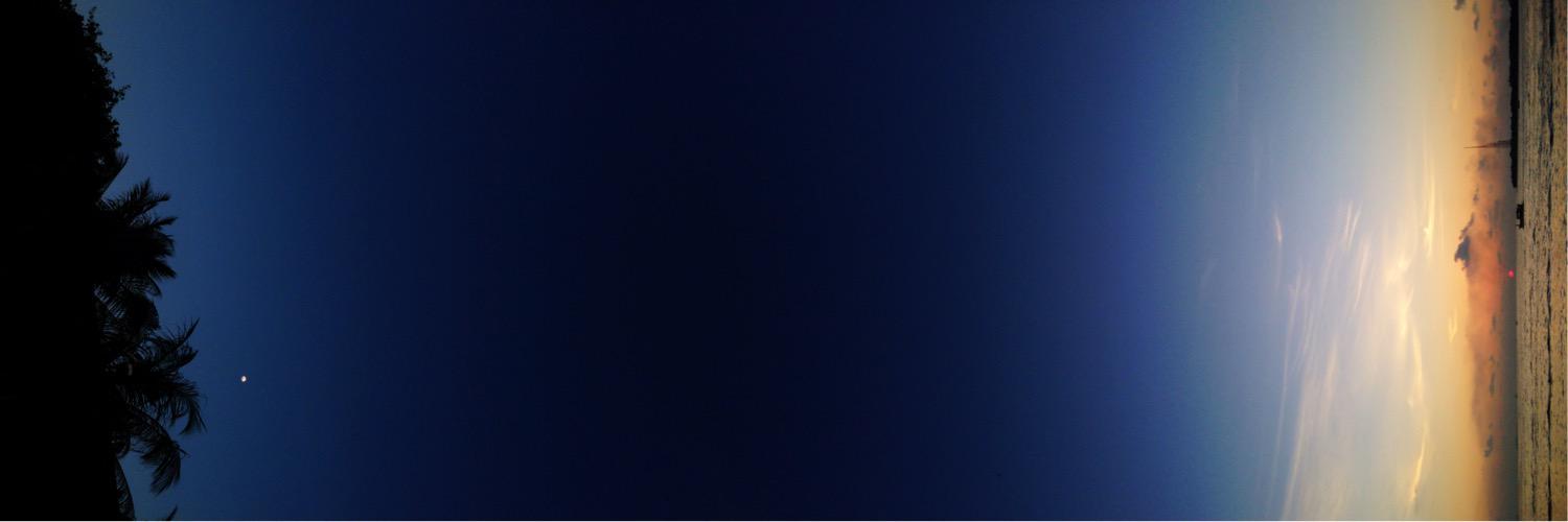 ShiyaX 🐺🖤 banner