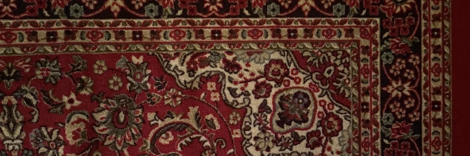 𝓅𝑜𝓁𝓁𝓎 banner