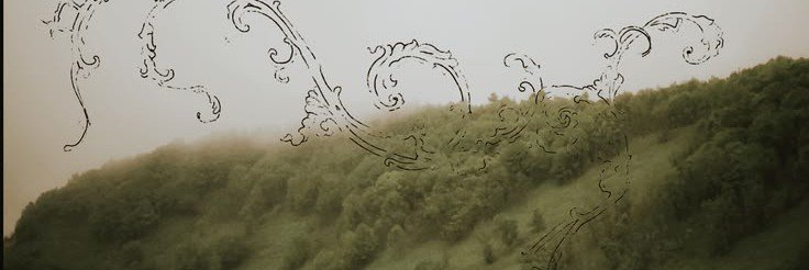 tomatoruki's profile banner image