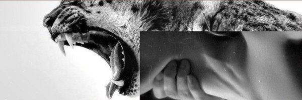 uzeriimx Profile Banner