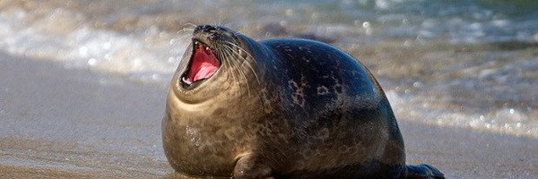 onononon_two Profile Banner