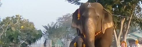 tumlantam's profile banner image