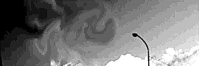 どくたけのこ's banner
