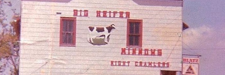 Chicken Little banner