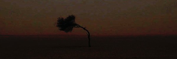 MAlshaik__ Profile Banner