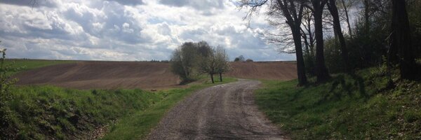 berndmschell Profile Banner