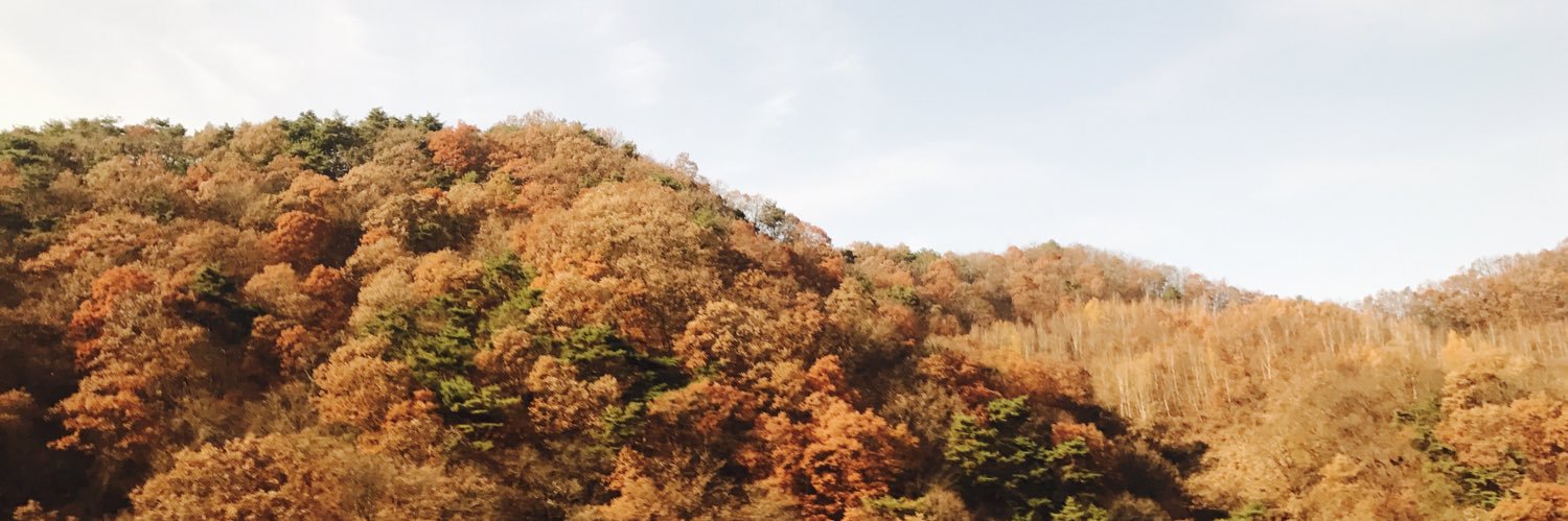 nooa4_'s profile banner image