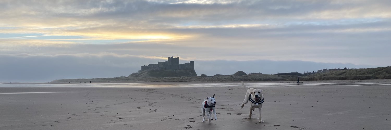 Alexander Mackay banner