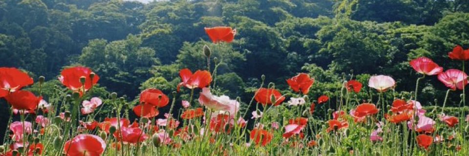 ぐっぱ banner