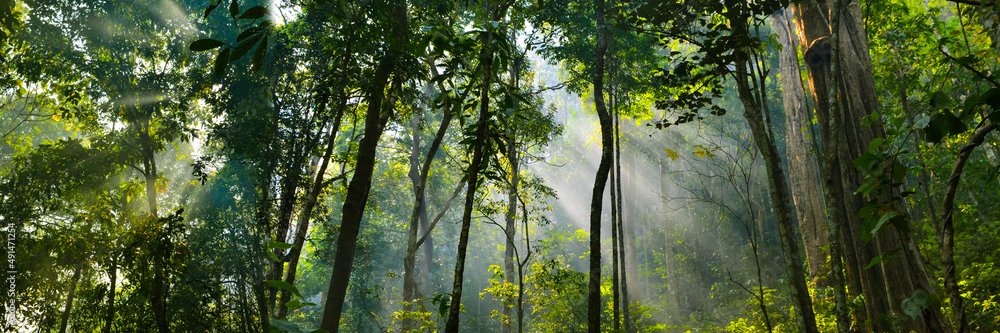 Carla Taggarty banner