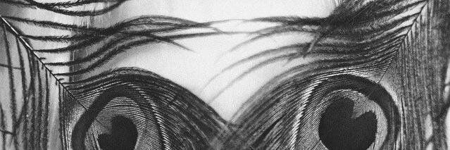 designcatwalk's profile banner image
