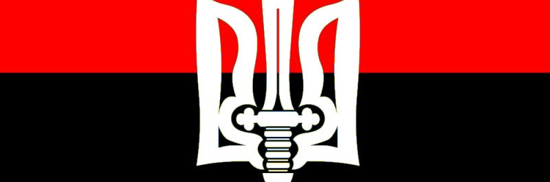 Oli12 banner