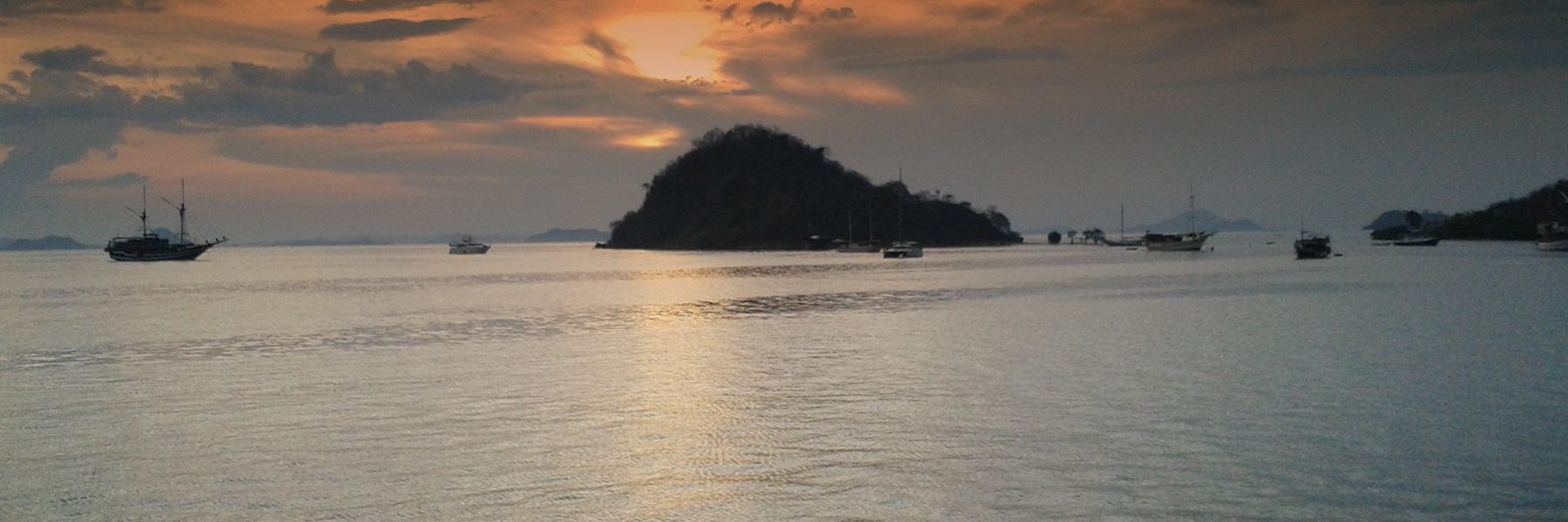 Allex_WN's profile banner image