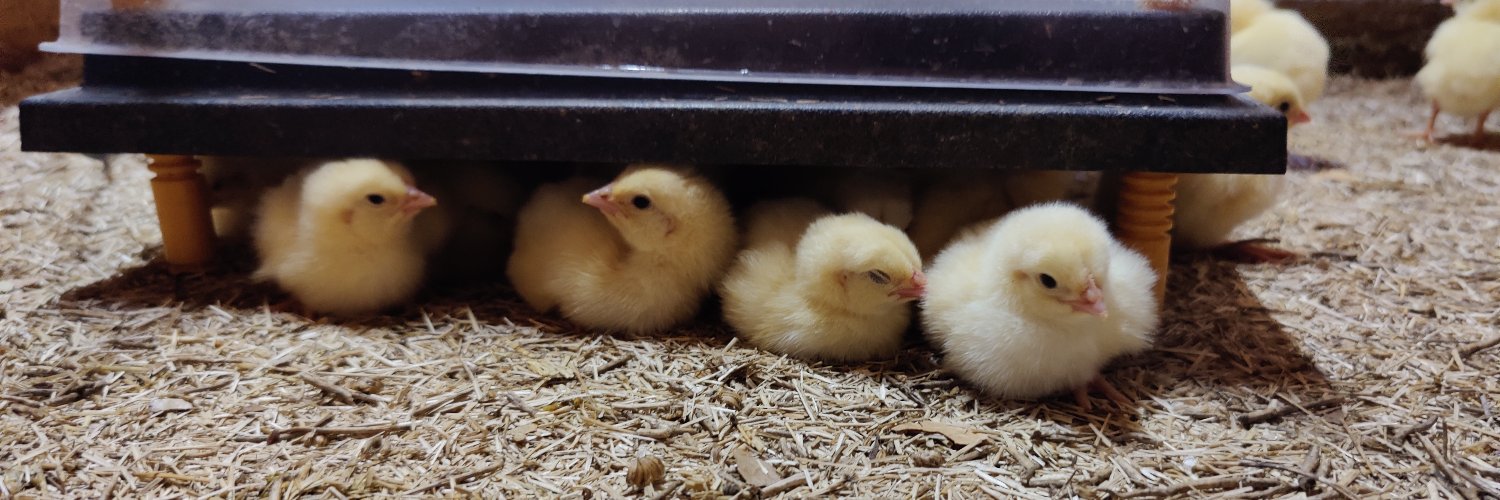 Rik van de SmaakBoerderij banner