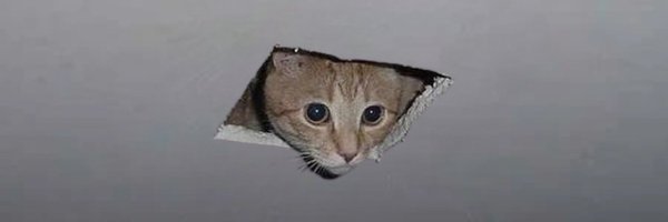 ceicatsol Profile Banner