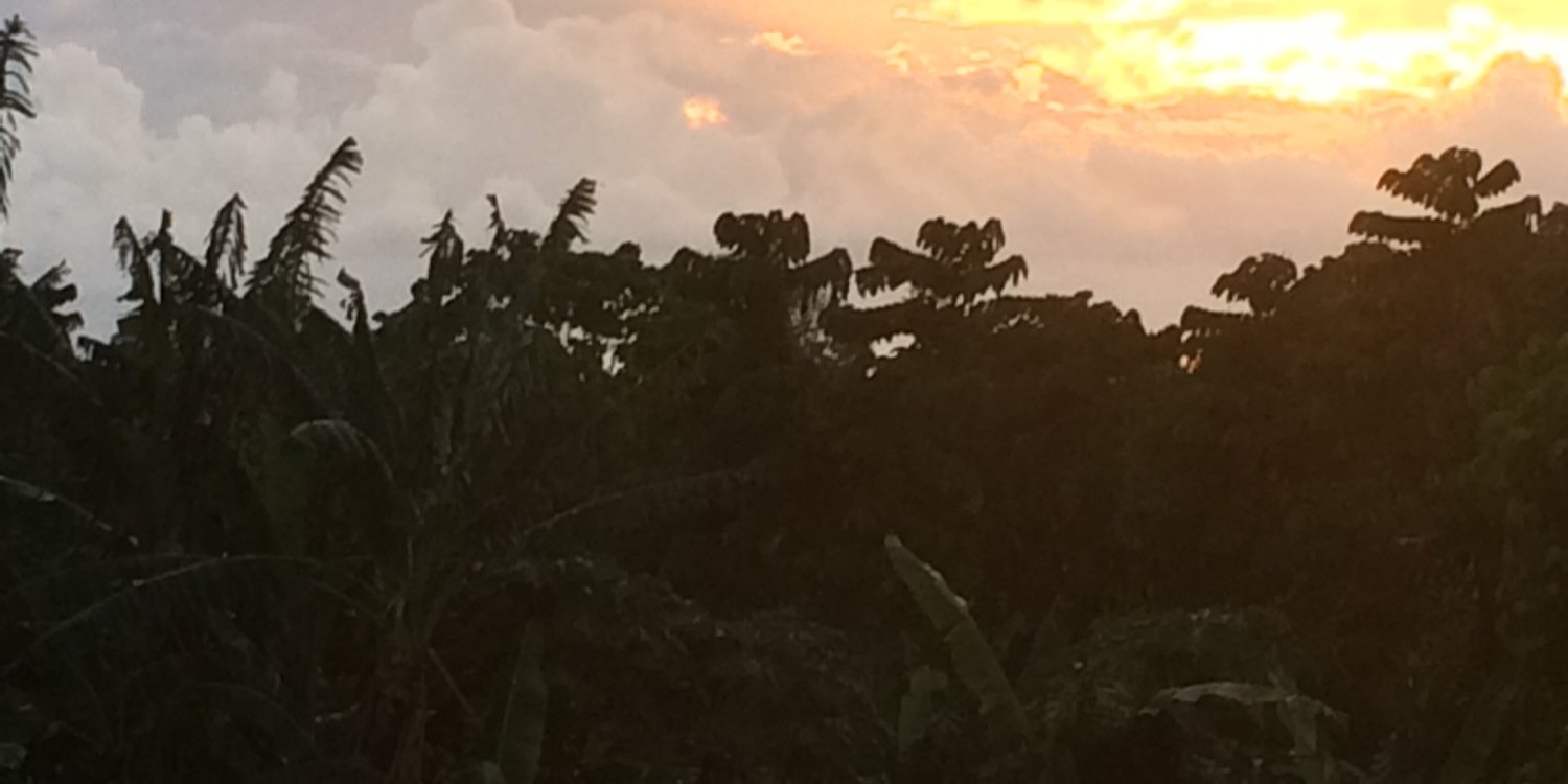 Maramaboo's profile banner image