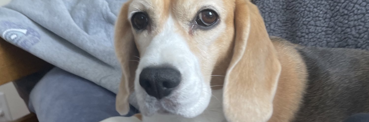 Jennifer Hart banner