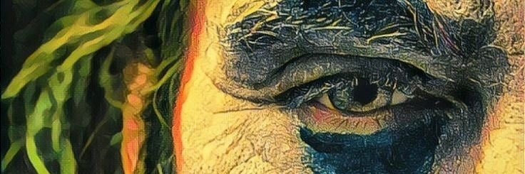 diablitarian's profile banner image