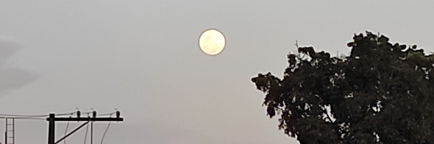 lucianopaz's profile banner image